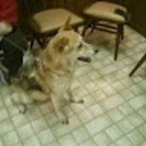 Meet your Posher, William